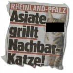 BILD: Asiate grillt Katze