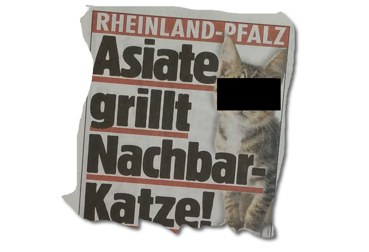 BILD: Asiate grillt Katze