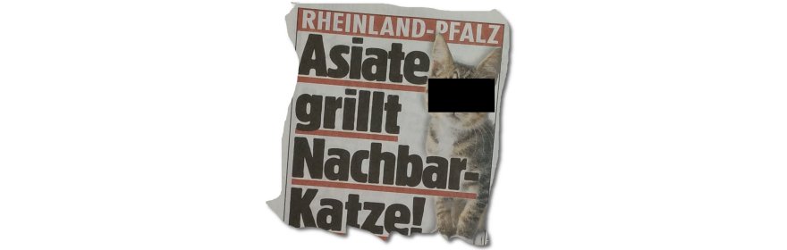 Nachbar-Katze grillt Asiaten?